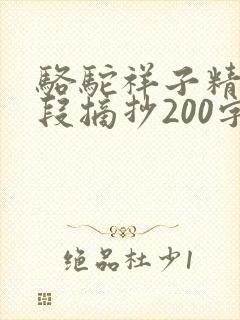 骆驼祥子精彩句段摘抄200字