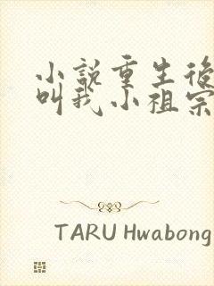 小说重生后大佬叫我小祖宗