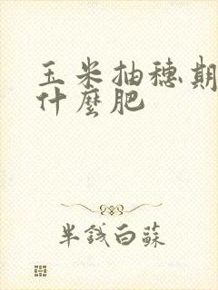 玉米抽穗期要施什么肥