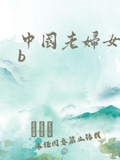 中国老妇女日bb
