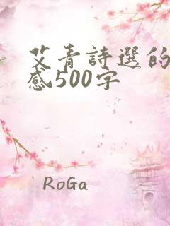 艾青诗选的读后感500字