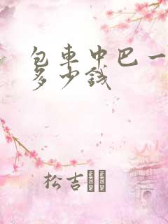包车中巴一天要多少钱