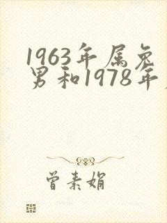 1963年属兔男和1978年属马女婚姻