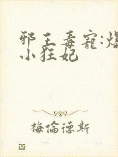 邪王毒宠:爆萌小狂妃
