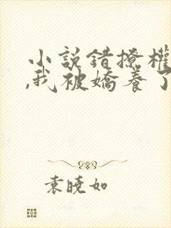 小说错撩权臣后,我被娇养了全文