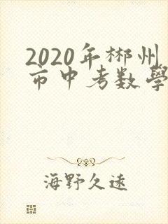 2020年郴州市中考数学试卷及答案