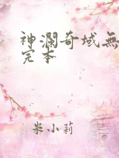 神澜奇域无双珠完本
