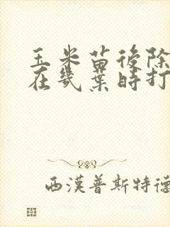 玉米苗后除草剂在几叶时打