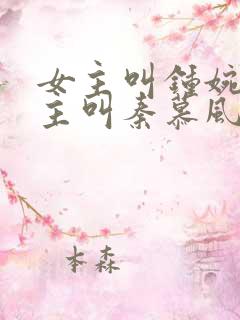 女主叫钟婉婉男主叫秦慕风的小说
