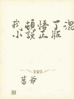 我顿悟了混沌体小说正版