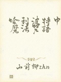 哈利波特中所有魔法咒语