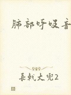 肺部呼吸音听诊