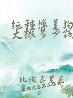 纯种博美狗一只大概多少钱