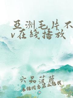 亚洲毛片不卡av在线播放