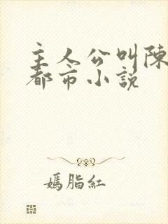 主人公叫陈风的都市小说