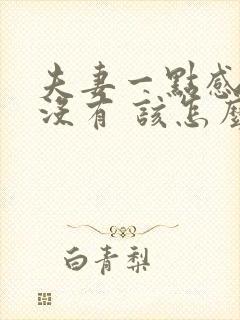 夫妻一点感情都没有 该怎么维持 夫妻一点感情都没有 该怎么维持
