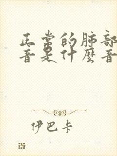 正常的肺部听诊音是什么音