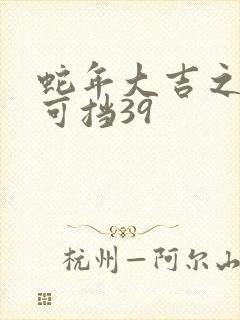蛇年大吉之婚不可挡39
