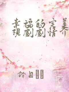 幸福的完美 电视剧剧情介绍