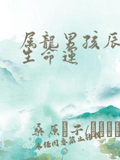 属龙男孩辰时出生命运 属龙男孩辰时出生命运
