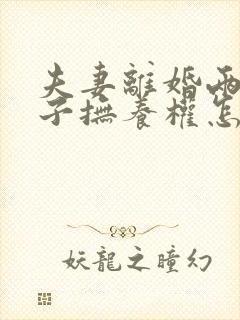 夫妻离婚两个孩子抚养权怎么判定