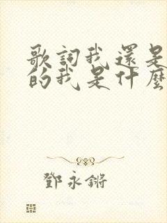 歌词我还是原来的我是什么歌