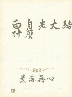 白月光大结局是什么