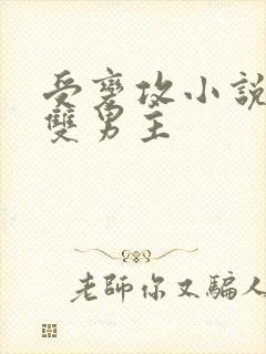 受变攻小说推荐双男主