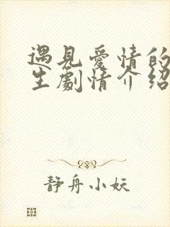 遇见爱情的利先生剧情介绍大结局