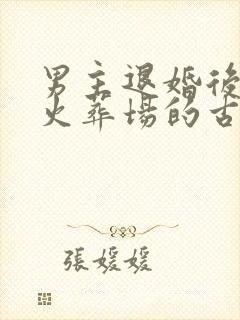 男主退婚后追妻火葬场的古言