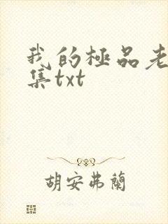 我的极品老婆全集txt