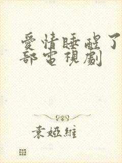 爱情睡醒了第二部电视剧