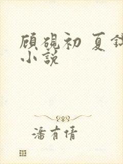 顾砚初 夏锦茵小说