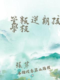 管叛逆期孩子的学校