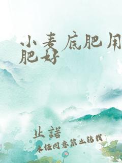 小麦底肥用什么肥好 小麦底肥用什么肥好