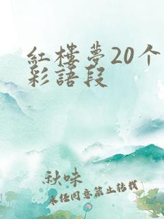 红楼梦20个精彩语段