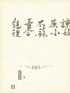 观看不原谅,不复合,苏小姐独美小说