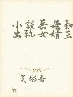 小说岳母和女婿出轨女婿主角叫林什么