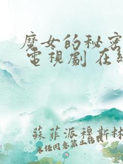 魔女的秘密契约 电视剧 在线观看