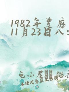 1982年农历11月23日八字运程