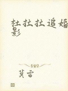 杜拉拉追婚记电影