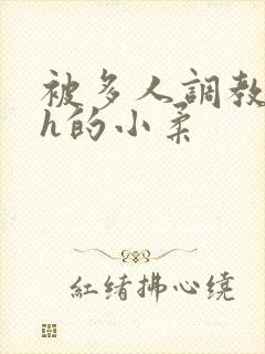 被多人调教失禁h的小柔