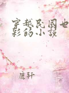 穿越民国也很精彩的小说