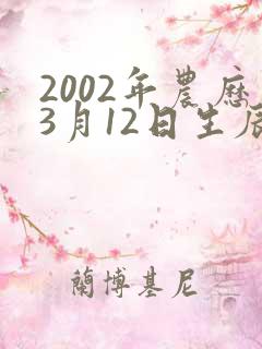 2002年农历3月12日生辰八字