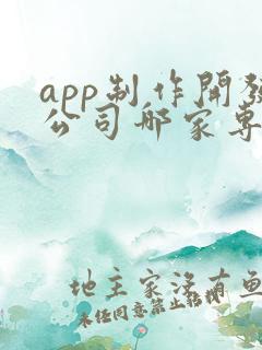app制作开发公司哪家专业