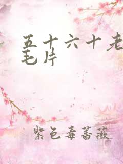 五十六十老熟女毛片