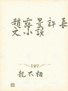 赵露晨许长生全文小说