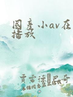 国产小av在线播放