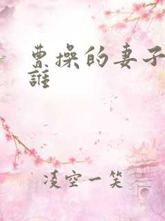 曹操的妻子都有谁