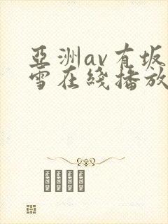 亚洲av有坂深雪在线播放